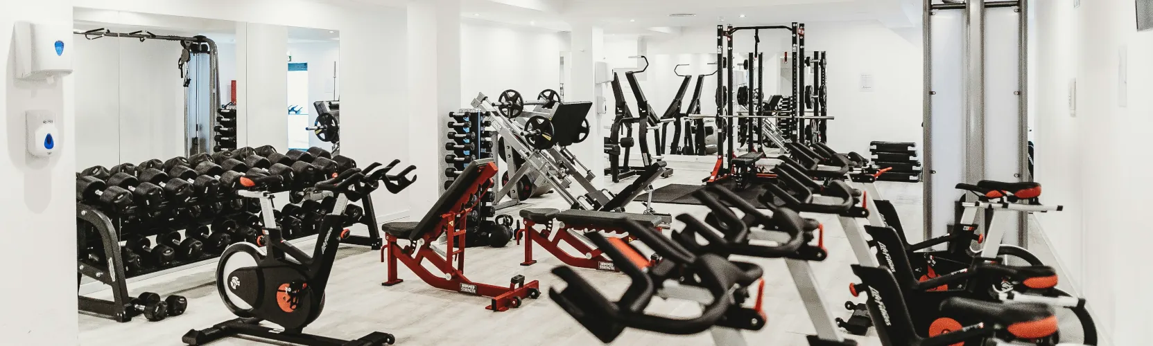 gym equipment