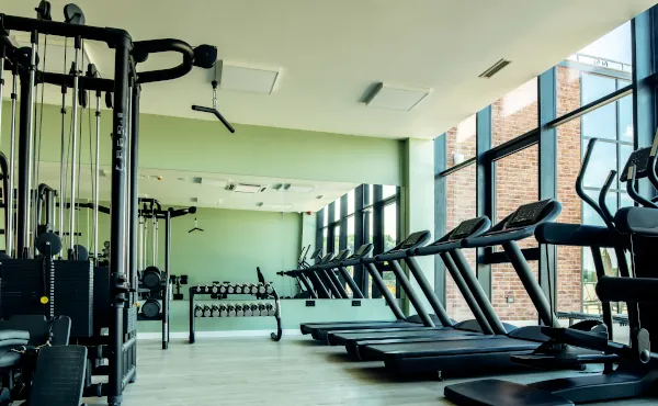gym equipment